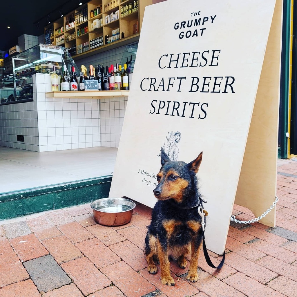 This is Edie!!! 🐕 🥰 She's just letting you all know that we have a water bowl outside our shop for when your furry ones get a little thirsty 😜 #pets #waterbowl #waterforpets #keephydrated #dogsofinsta #artisancheese #craftbeer #spirits #yourlittleind… instagr.am/p/CPDmqkYMekT/