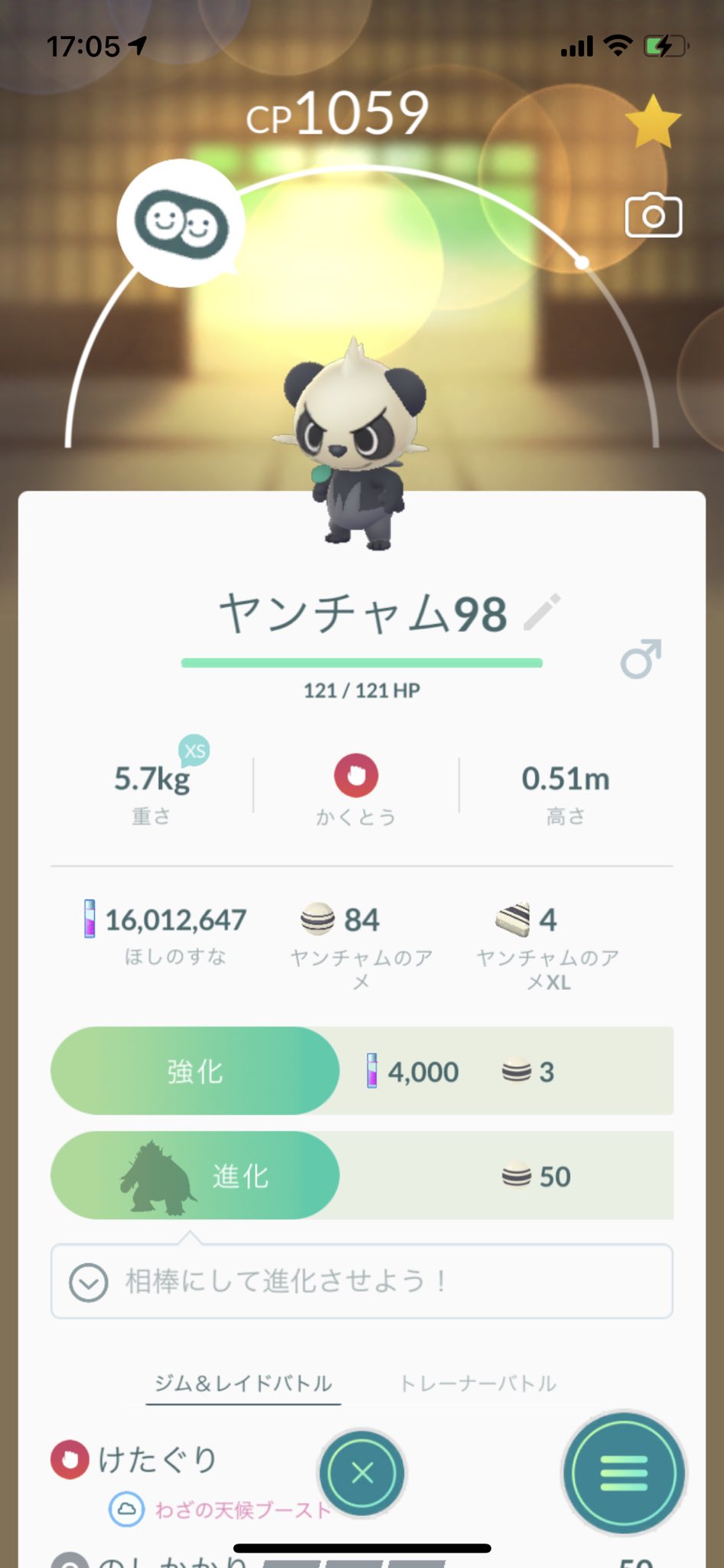 تويتر Tanakax على تويتر とりあえず今進化せねば Pokemon Pokemongo ポケモン ポケモンgo ヤンチャム 進化 ゴロンダ 個体値98 T Co E8llivz9qw تويتر Tanakax على تويتر とりあえず今進化せねば Pokemon Pokemongo ポケモン ポケモンgo ヤンチャム 進化 ゴロンダ 個体値98 T Co E8llivz9qw