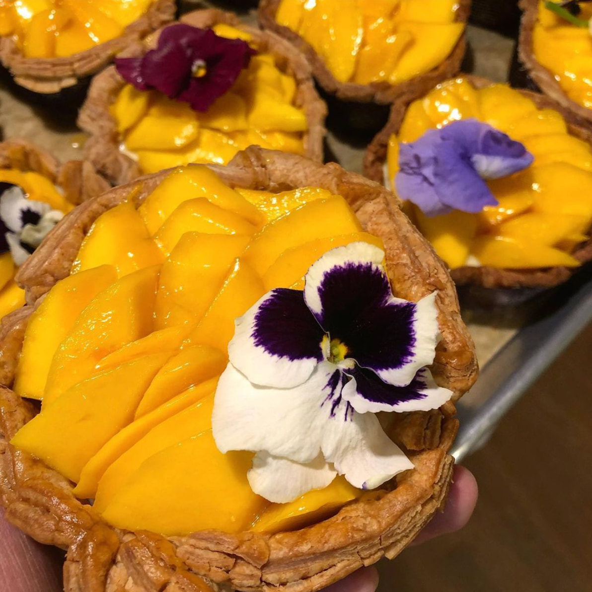 SDFarmersMarket's tweet photo. Pre-orders are opening or the South Durham Market on Sat May 22! - https://t.co/p8l6uWW3Yy https://t.co/mpxuD2sPe8