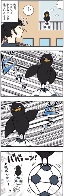 バランスを意識するカラス 