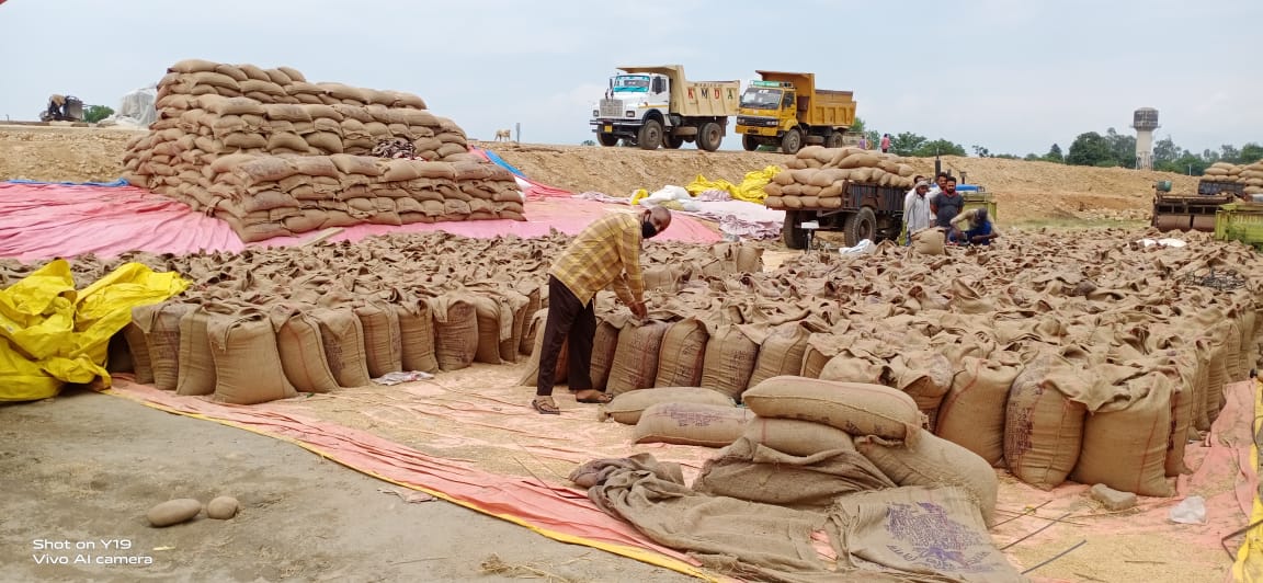 hello_anshul's tweet photo. Wheat procurement by FCI underway across 10 Mandis in #Jammu; 35,000 quintals procured till date and season extended upto 10th June to benefit maximum farmers; Registration of farmers and Payments via DBT underway under supervision of Agriculture Deptt
#LivingwithCOVID https://t.co/wfuo5rx54I