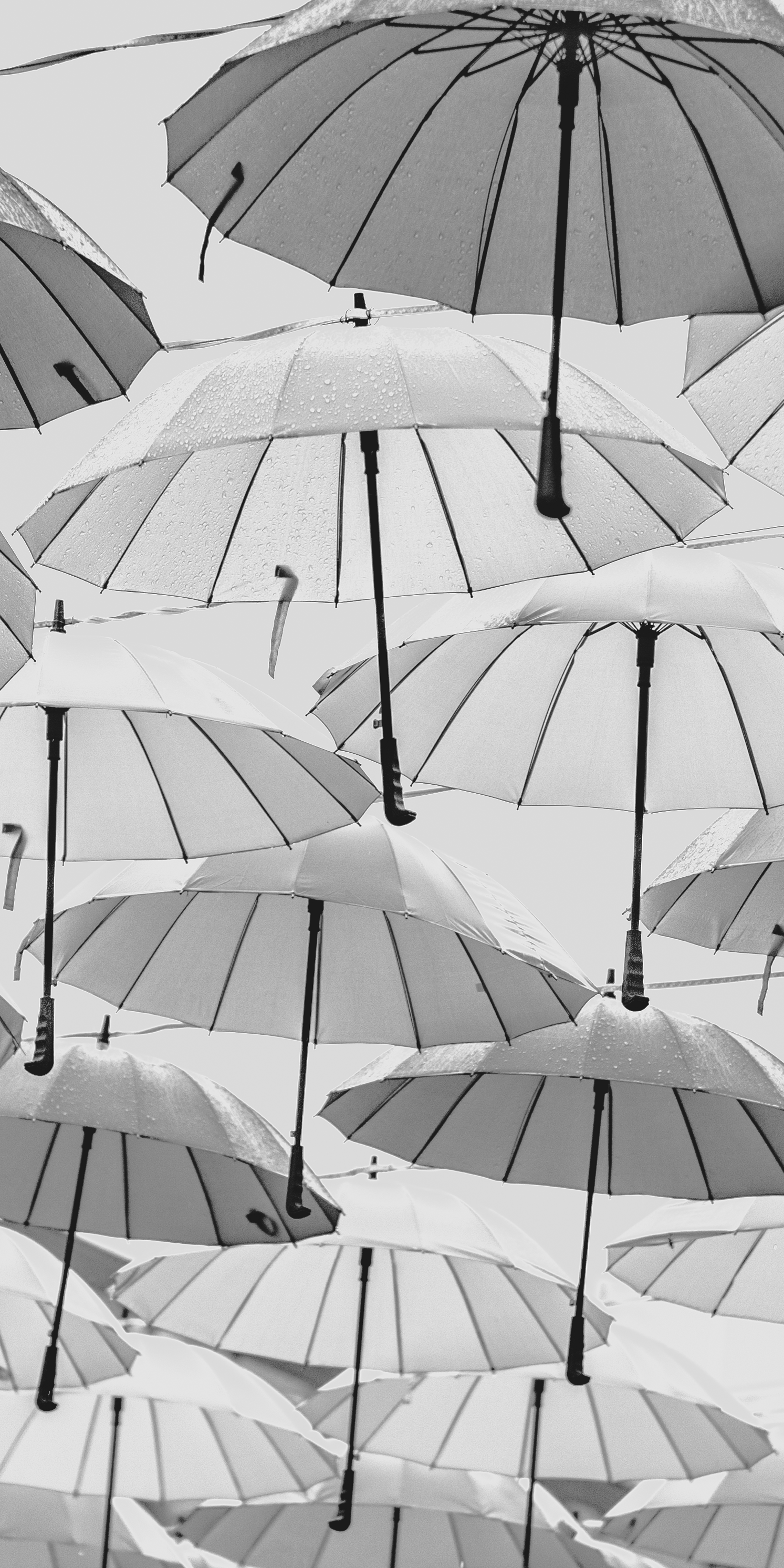 Tenjyun 雨 写真好きな人と繋がりたい 写真で伝えたい私の世界 傘 T Co 2euuykawi1 Twitter