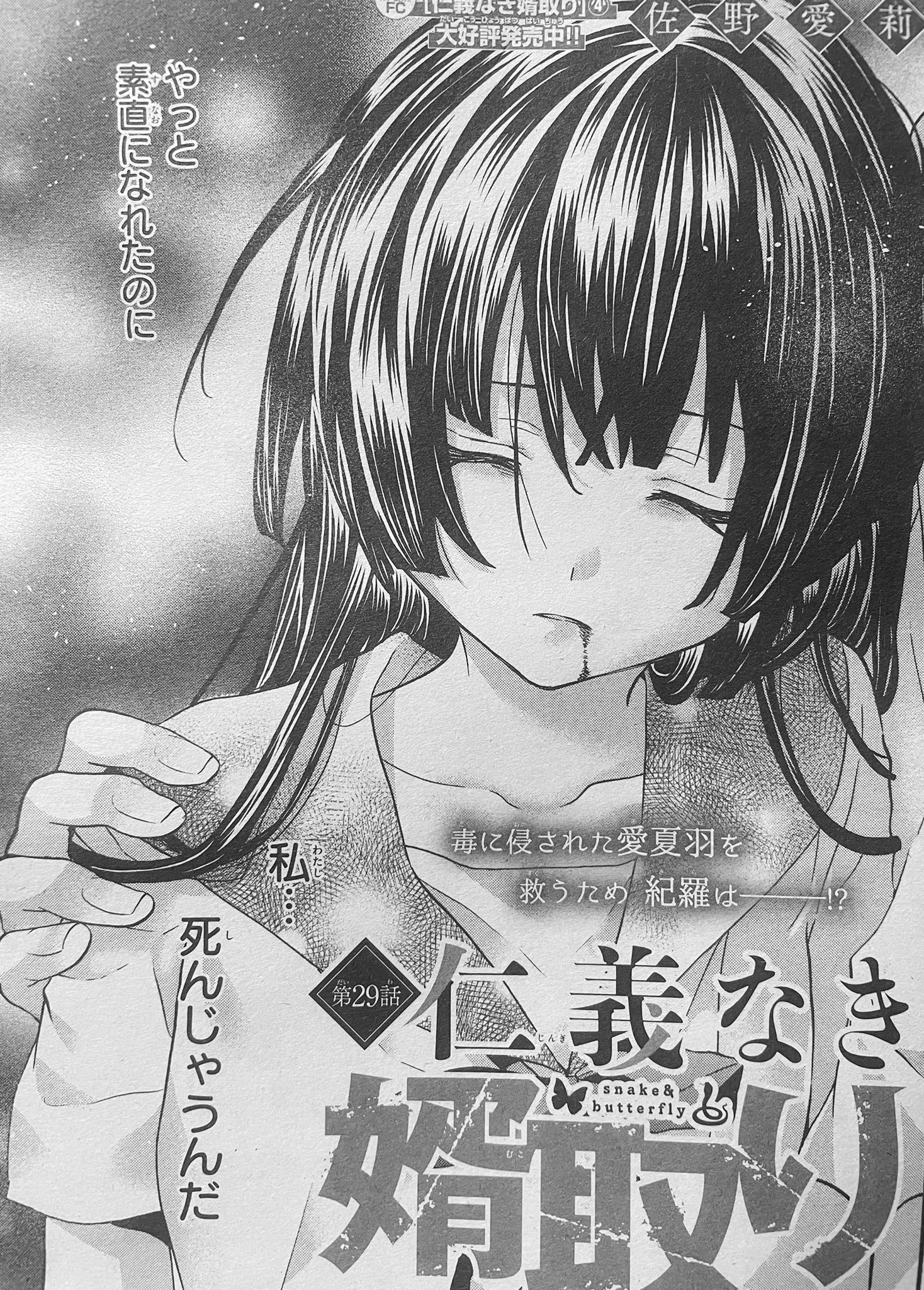 仁義なき婿取り Snake & Butterfly 1～13巻 Japanese Shojo Manga Comic Book Jingi Naki Mukotori 仁義なき