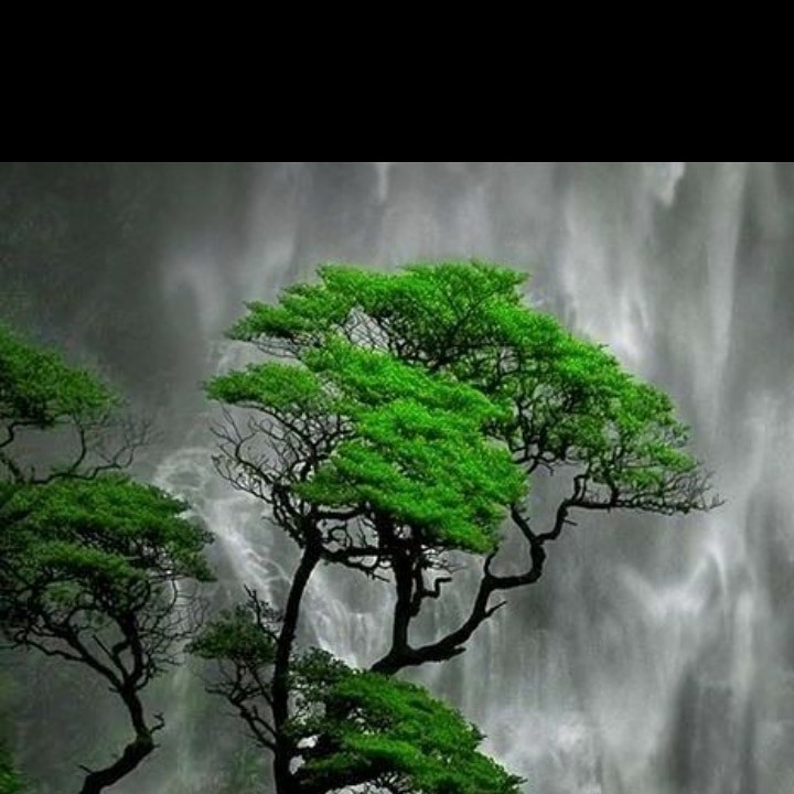 “Mutlu olmayı yarına bırakmak, karşıya geçmek için nehrin durmasını beklemeye benzer ve bilirsin, o nehir asla durmaz.”