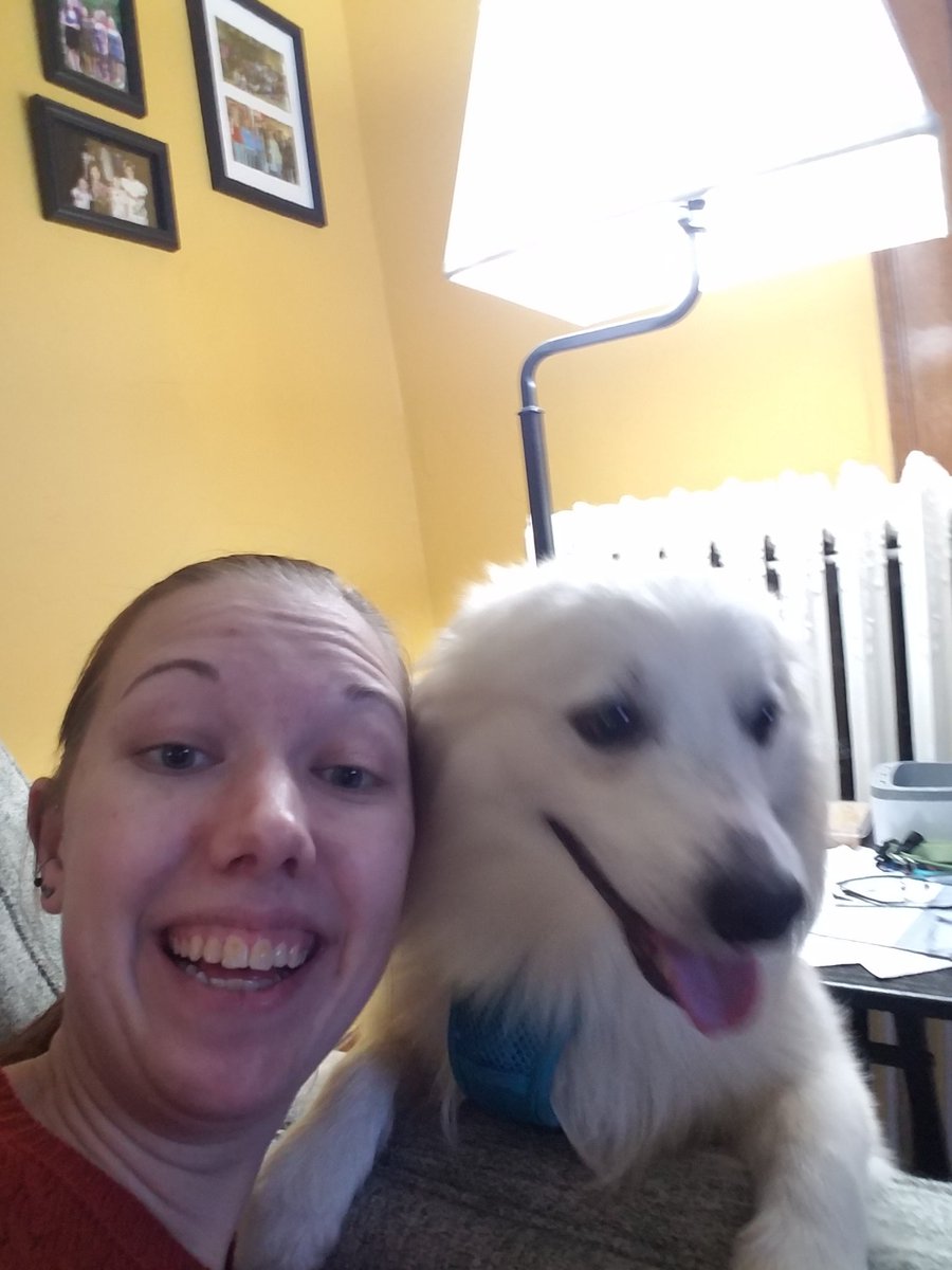 alissa1220's tweet photo. @felis2458 @IvePetThatDog @maegzz_ Here is my new puppybaby Ravi! He was rescued from an Amish puppy mill in January and the vet thinks he is a year old. He used to be chained up outside but now he loves snuggling on the couch 😊 https://t.co/da8GkaqcXW