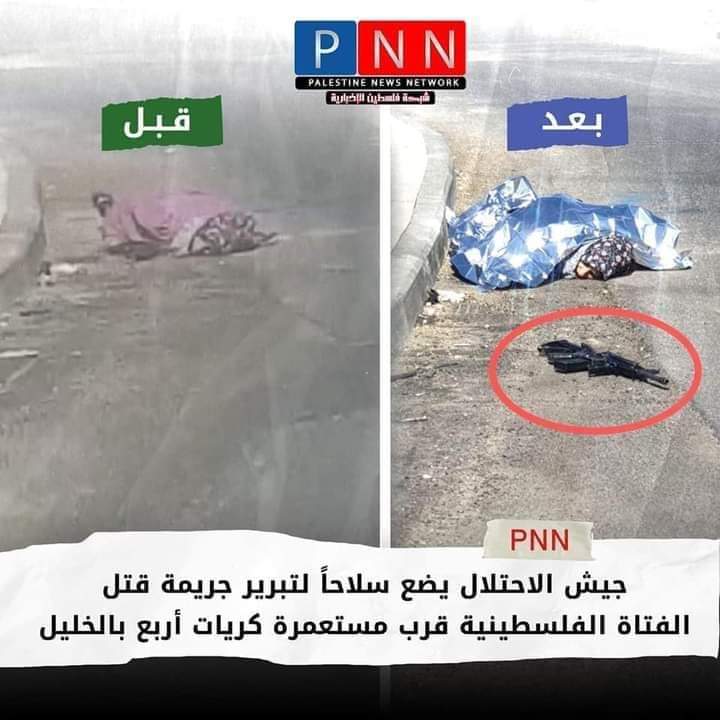 K. Shihab (@khaledshihab10) on Twitter photo 