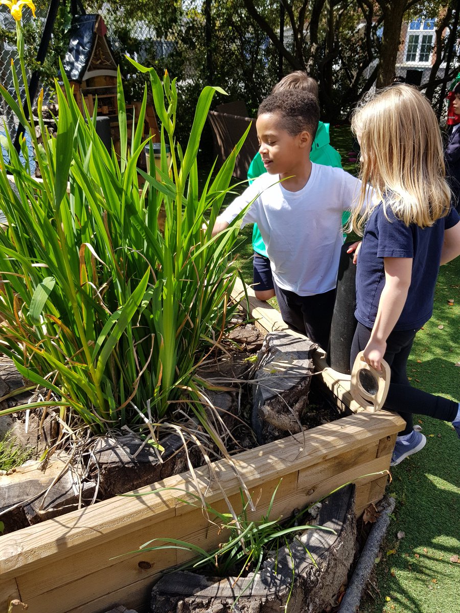 Fircroft Primary (@fircroftsw17) on Twitter photo Today Year 2 are going on a bug hunt... but they're definitely not scared! <a href="/thinkoutsideUK/">think outside</a> Today Year 2 are going on a bug hunt... but they're definitely not scared! <a href="/thinkoutsideUK/">think outside</a>