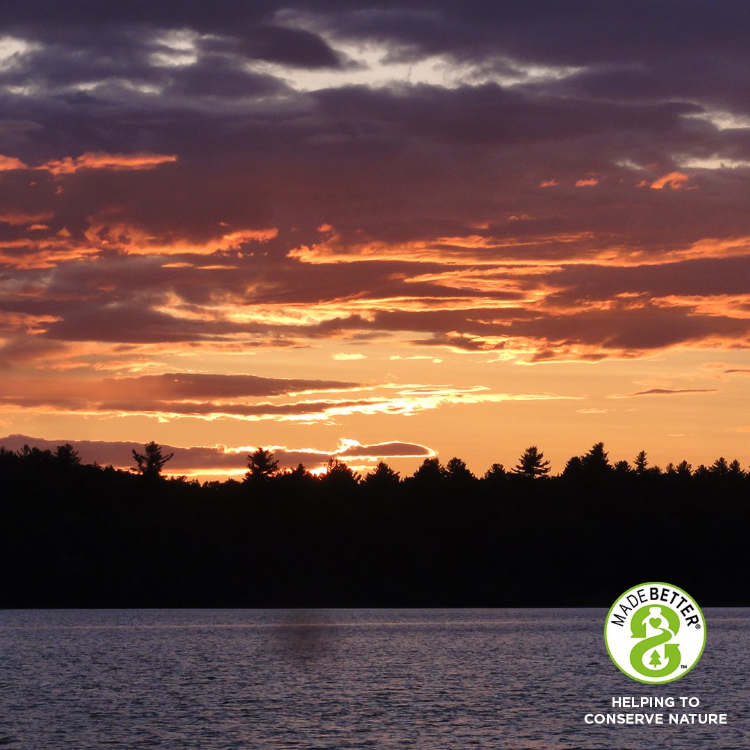 Origin Natural Spring Water tweet media