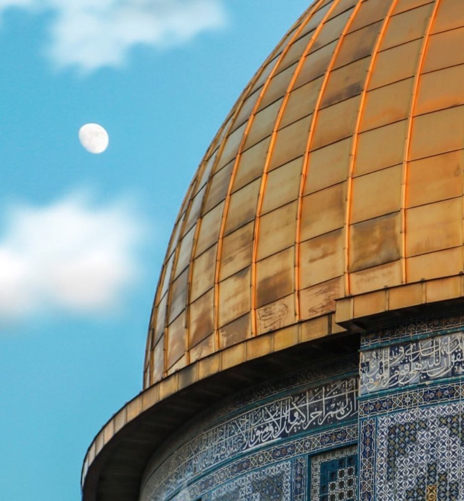 asma_y5's tweet photo. لم يكنّ حُبّنا لفلسطين مرهون بأصولنا 
كُلنا فلسطينيون ما دامت قلوبنا حيّة .. 

🌿♥️♥️♥️
#القدس_قضيتي https://t.co/mbg2eygCbw