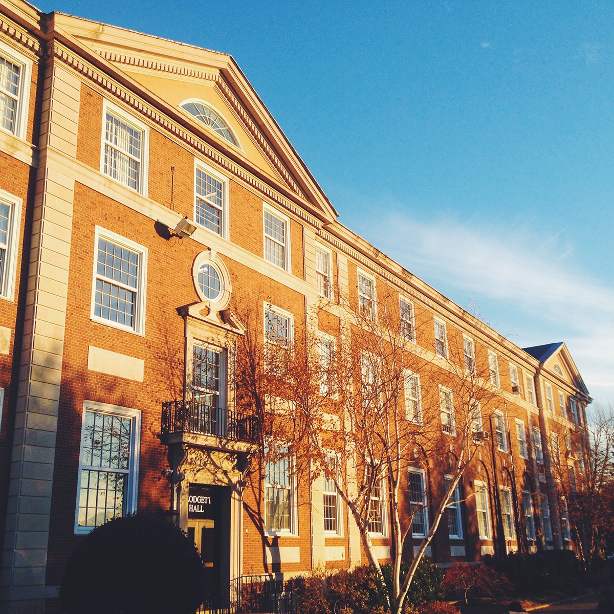 Adelphi University tweet media