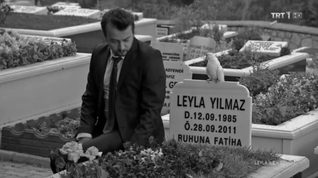 KELİMELER 

Kelimeler, albayım bazı anlamlara gelimiyor