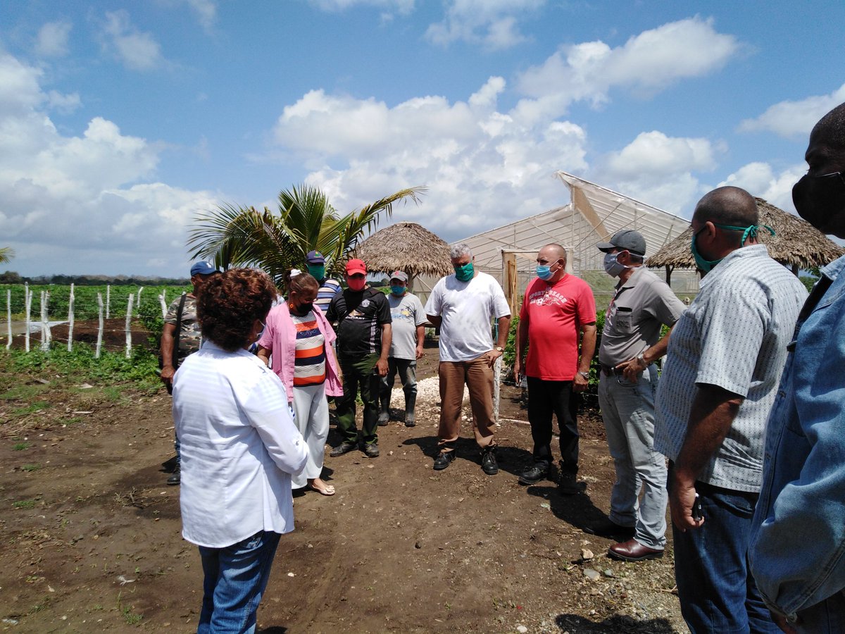 ETurruellas's tweet image. Nuevo #Organopónico en la Comunidad #Mapos del municipio #LaSierpe se incorpora a la producción de hortalizas como contribución al #AutoabastecimientoAlimentario y la #SoberaniaAlimentaria #VamosAVencer #SomosContinuidad @MINAGCuba @YdaelB @MMarreroCruz @LuisTFonseca