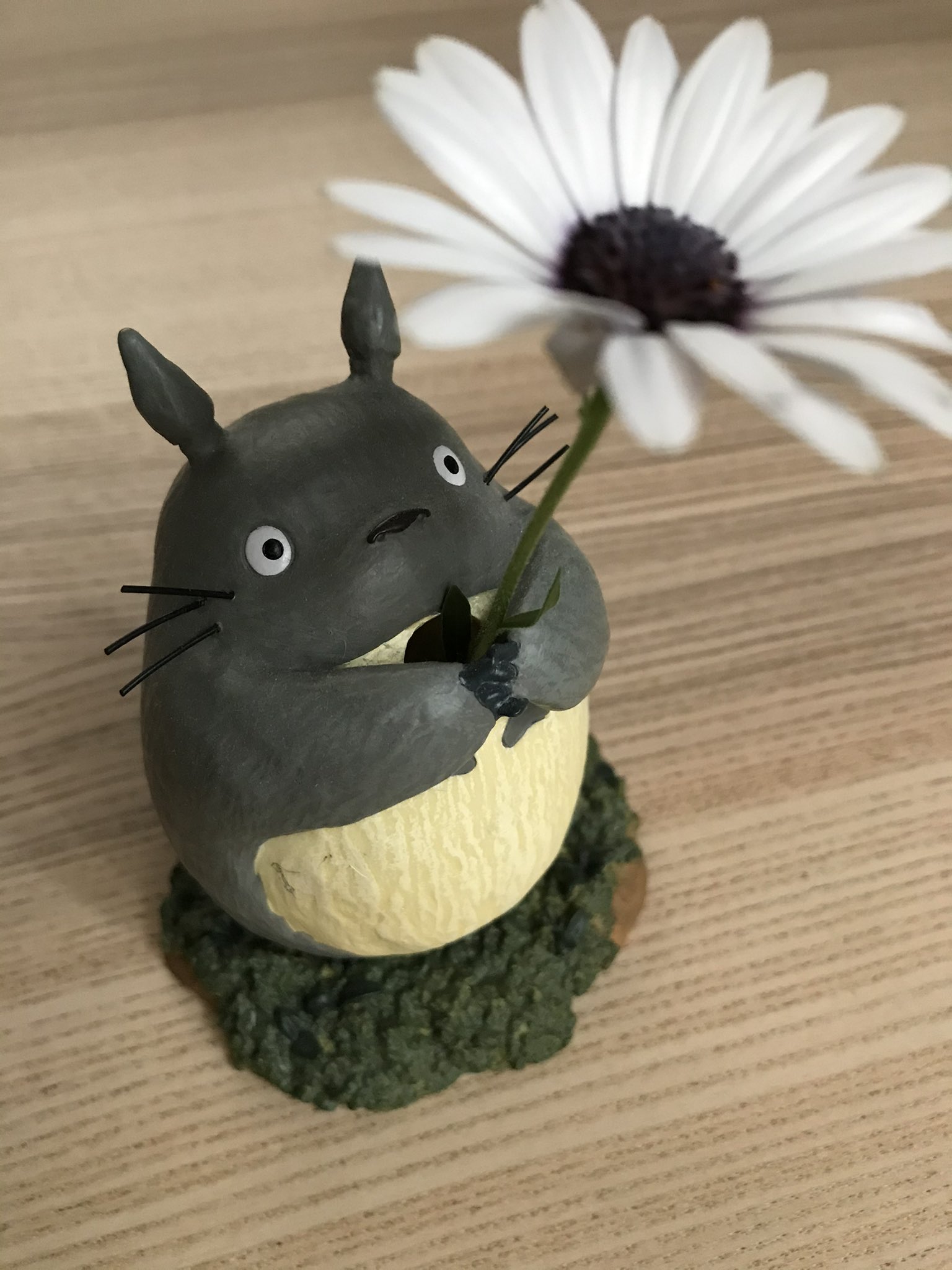 よもやん うちのトトロ トトロ 花瓶 ジブリ T Co Jj6s0eohzx Twitter