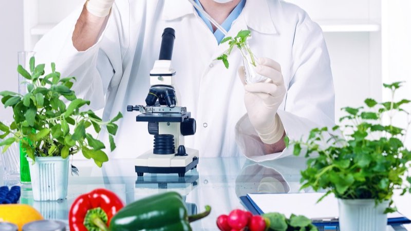 Report by <a href="/EuroseedsEU/">Euroseeds</a> with the <a href="/EU_Commission/">European Commission</a>'s overt support gives more ammunition for advocates of #gene #editing in crops, and makes #Biotech lobbies gear up for gene editing regulation battle.

Read more 👉bit.ly/3u3sZoF