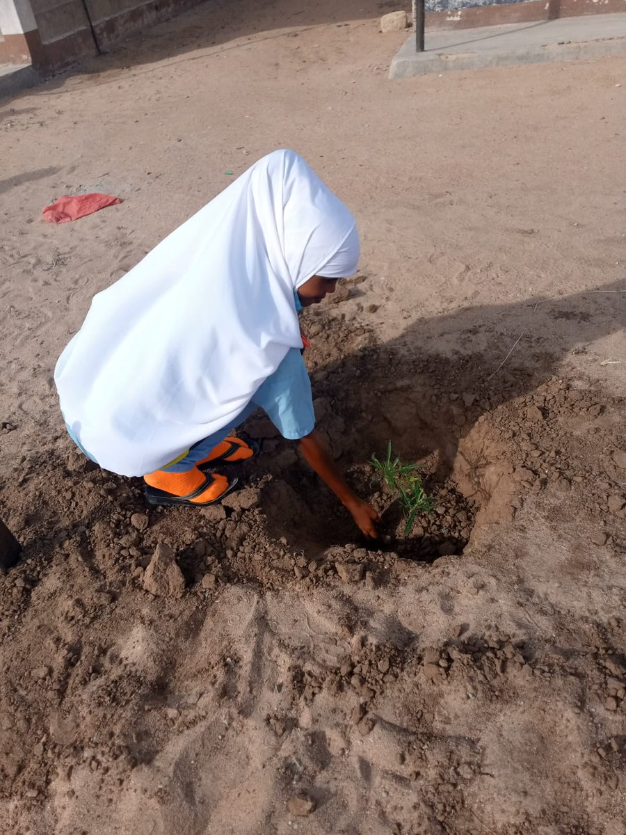 Ict011's tweet photo. We are so proud of Korbesa Day sec sch fraternity (merti sub county) for planting trees at their institution after we gave them trees seedlings 🙏🌱🌳🌳💚.
#GreenkenyawithNYC
#Livesbetterwithtrees
@NYC_YouthVoice 
@ViridianaWasike 
@CCF_Kenya 
@Asly_Amina https://t.co/DBU2ZxEwqr
