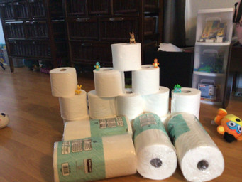 GayleNeil1's tweet image. Creating Art at home. Toilet paper sculpture, bidding will start at $200. #FMPSDlearningathome @GreelyRRunner 
@FMPSD