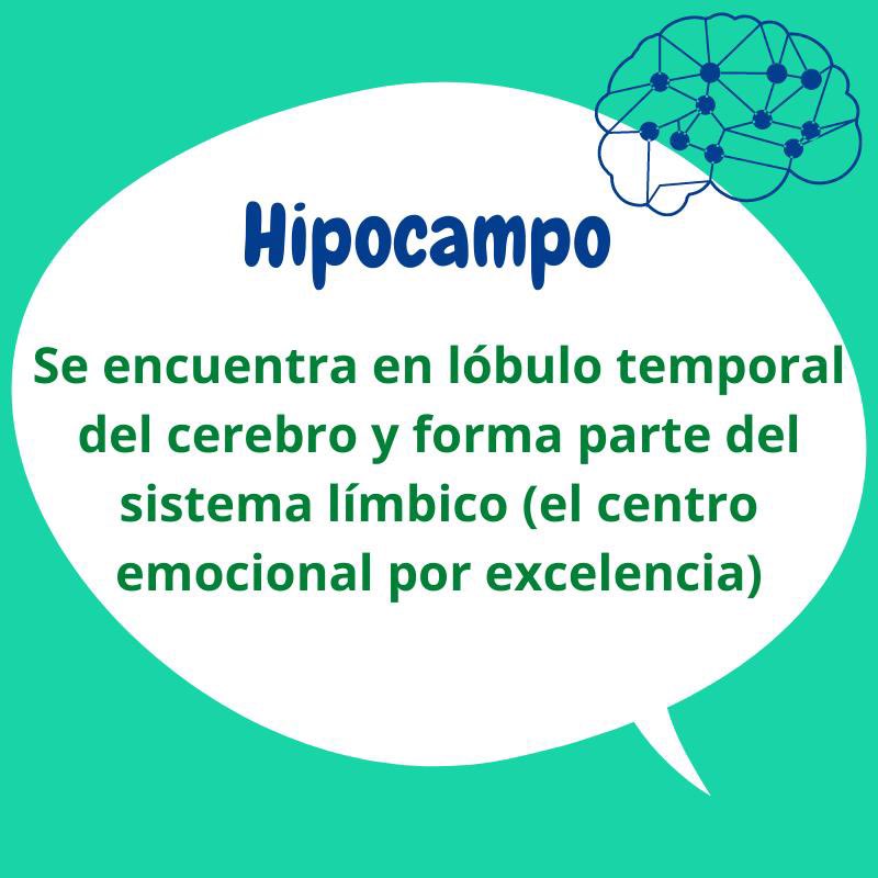 VitalMemory's tweet image. vitalmemory.blogspot.com/2021/05/el-hip…