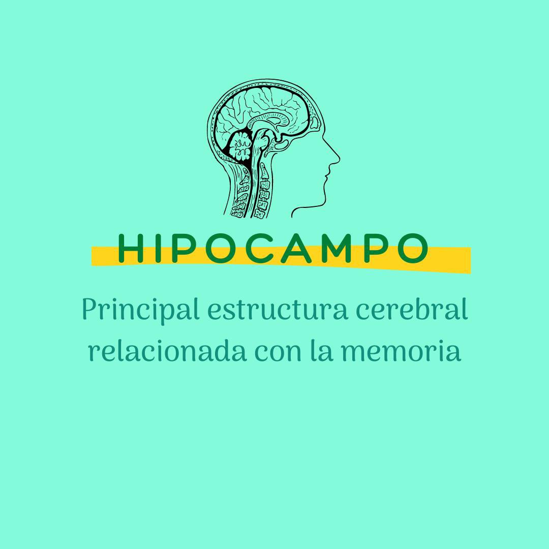 VitalMemory's tweet image. vitalmemory.blogspot.com/2021/05/el-hip…
