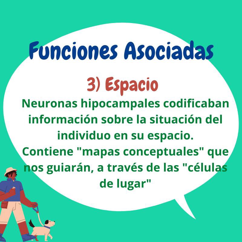 VitalMemory's tweet image. vitalmemory.blogspot.com/2021/05/el-hip…