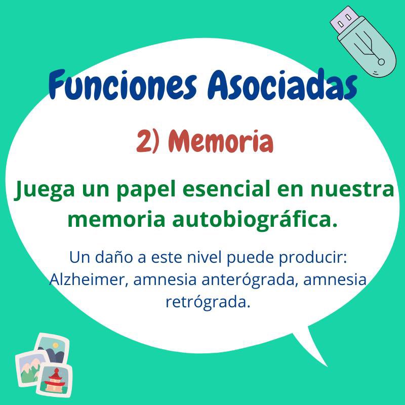 VitalMemory's tweet image. vitalmemory.blogspot.com/2021/05/el-hip…