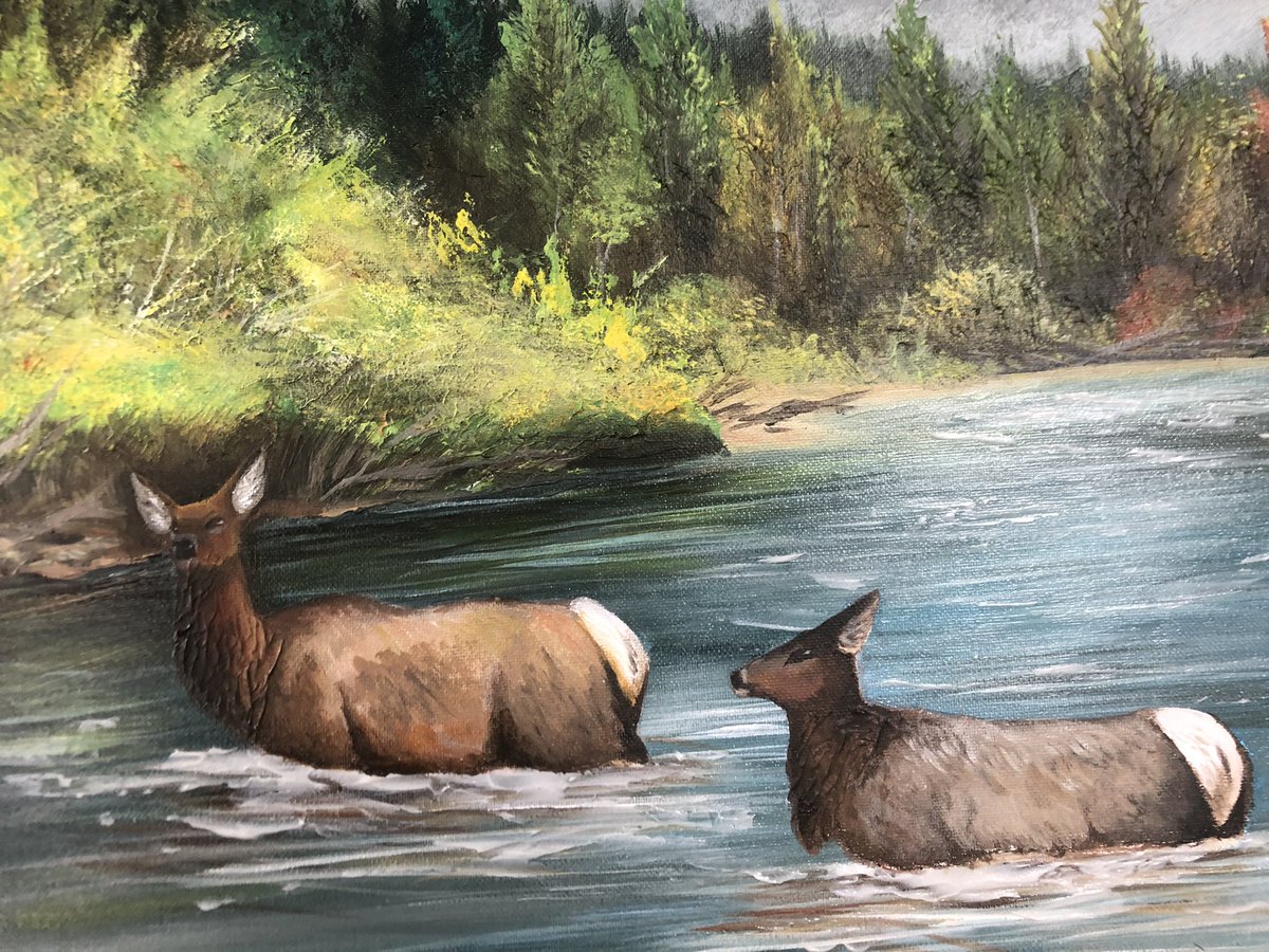 It’s finally finished 😭❤️#traditionalart #painting #wildlife #elk #montanamountains