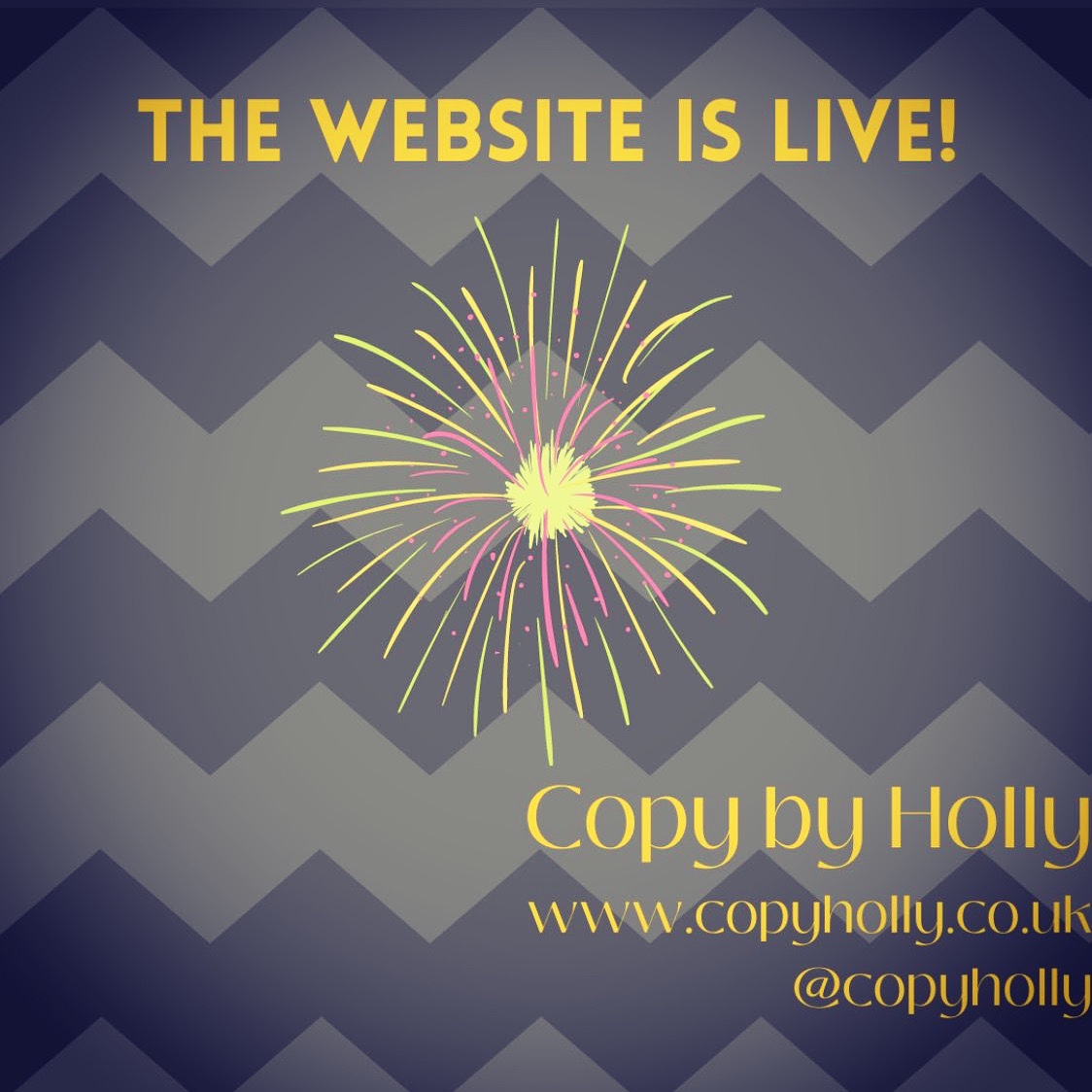 CopyHolly tweet picture