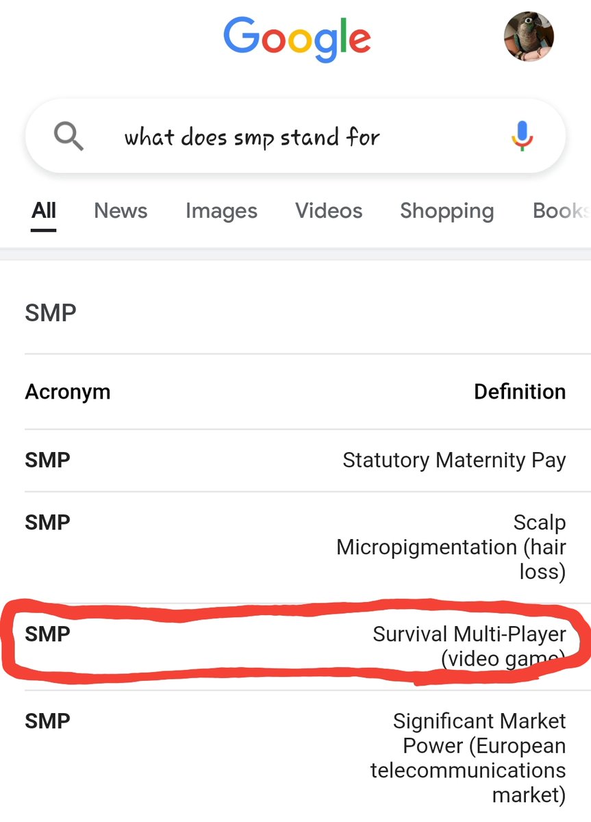 nethershell's tweet image. so ive just found out what smp means,,, we should call the dsmp &quot;dream survival multi-player&quot;