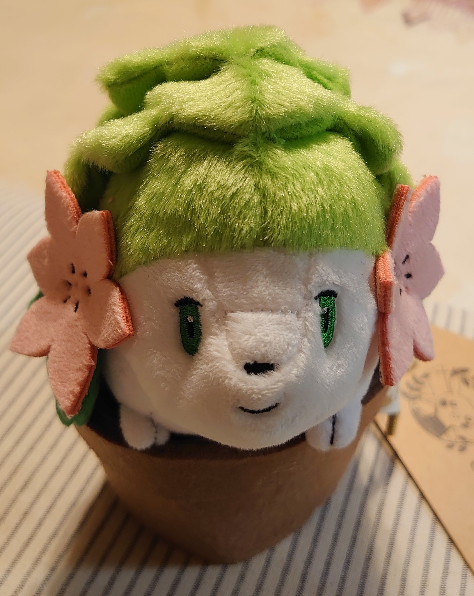 K U 劇場版ポケットモンスター ダイヤモンド Amp パール ギラティナと氷空の花束 子ども等が小さかった時に 映画見に行ったなー ミーに感謝するでしゅ って台詞が生意気で可愛くて ヤマンパチちゃん達と並べようかな 笑 ポケモン シェイミ 草