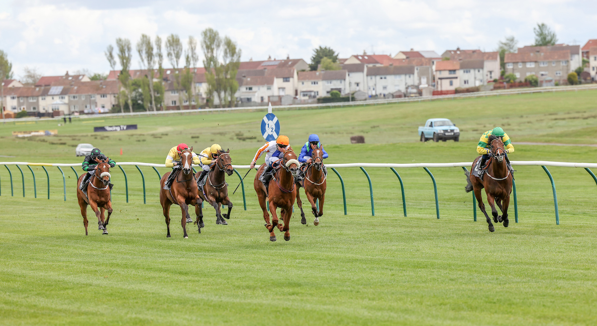 Some nice shots of Red Warning winning the EBF Stallions Restricted Maiden Stakes at @ayrracecourse under @connorbeasley9. The Bungle In The Jungle colt, owned by Ian Davison & Geoff Thompson, battled well to overcome evens favourite Showtime Mahomes on only his 2nd outing