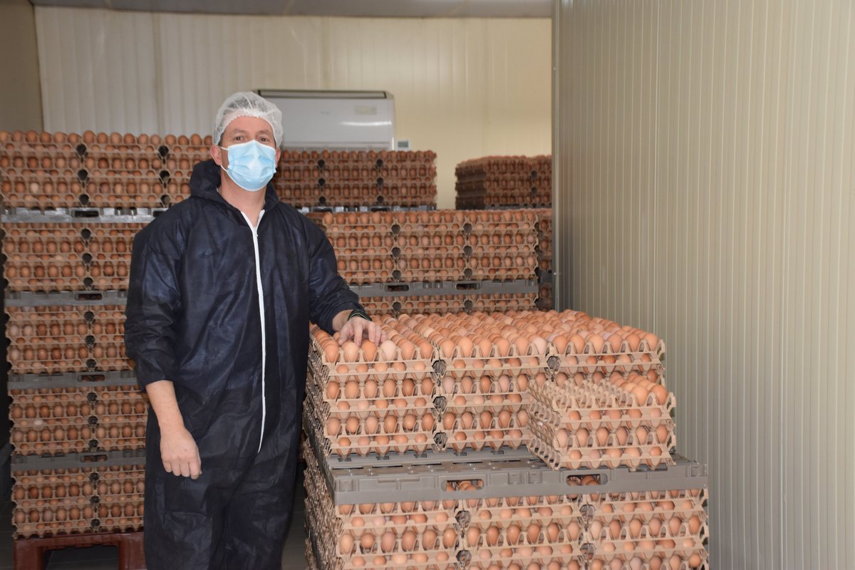 A Vairé, Nicolas était l’un des premiers aviculteurs à devenir ambassadeur pour la #marquejuste. Il élève  30 000 poules.  Ce sont ainsi 27 000🥚qui sont pondus quotidiennement et collectés par la société Geslin.
 #JusteEtVendéen #aviculteurs #SemaineAgriculture #vendée
