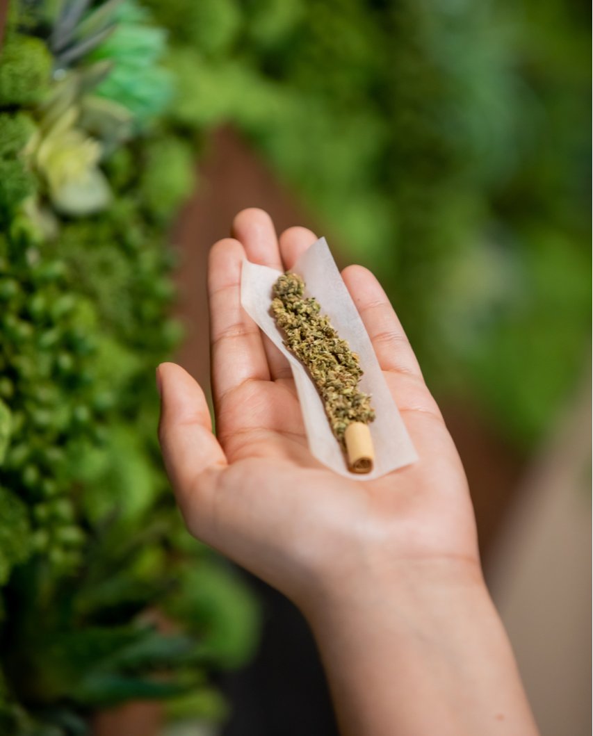 cheefbotanicals's tweet photo. Wake and bake with #Cheef! Drop your best joint rolling tips below 🌿⬇️ https://t.co/ilXxbTUvbO
