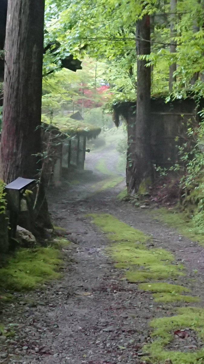 Cyouza Chohza 今日の梅雨はおとなしかったなぁ 施設回りをグルッと散歩 靄の掛かる風景に パシャ 湿度が高いので 雨が上がるとすぐさま霧が 雨冠の漢字はロマンを感じる表現が多くないですか 長くなると鬱陶しいですがね M M 奥飛騨温泉郷 Cyouza Chohza 今日の梅雨はおとなしかったなぁ 施設回りをグルッと散歩 靄の掛かる風景に パシャ 湿度が高いので 雨が上がるとすぐさま霧が 雨冠の漢字はロマンを感じる表現が多くないですか 長くなると鬱陶しいですがね M M 奥飛騨温泉郷