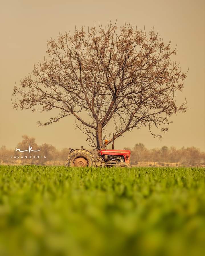 IycKarnal's tweet image. #Bitcoin
                 Greed Is Bad
                         ☝️
        #SupportFarmersProtest