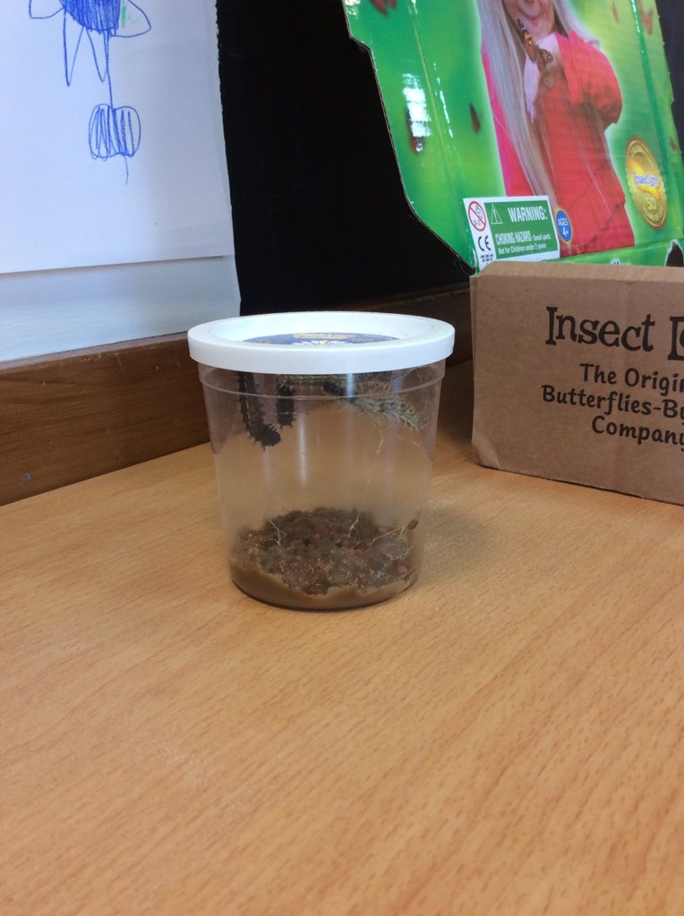 On to the next stage...