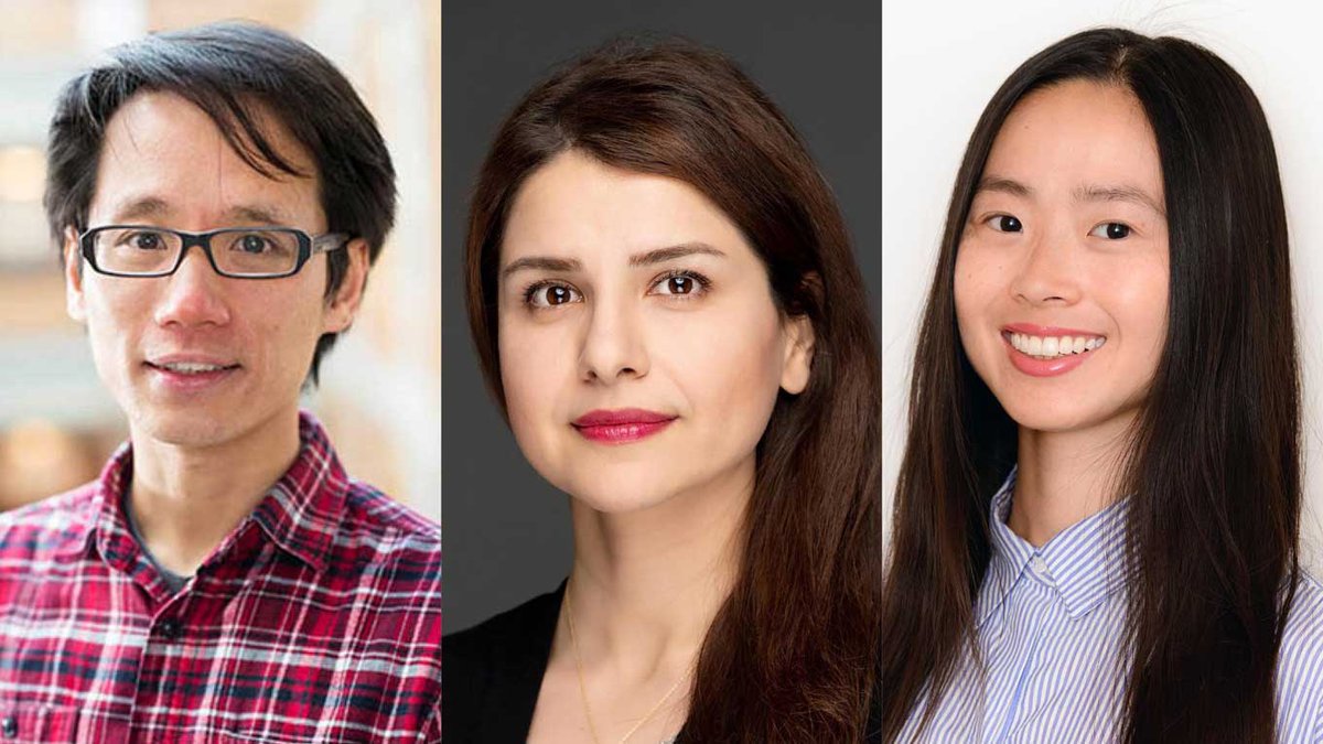 Three Berkeley Engineering faculty receive Young Investigator Award! Alvin  Cheung, Somayeh Sojoudi and Grace Gu to receive highly competitive grants  to support their early-career research: https://t.co/PyCnxh9S2X.