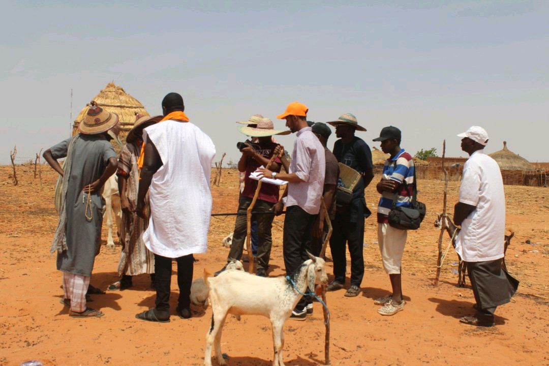 Cassani_Niger's tweet photo. #Making_Off_Spots_CASSANI
Retour en images sur le #Making_off des spots vidéos de la campagne de sensibilisation sur la santé animale. Nos équipes étaient à pied d'œuvre de même que les habitants de #Bougoum qui ont été ravis du choix de leur localité pour le tournage. https://t.co/cgOTHMauxo