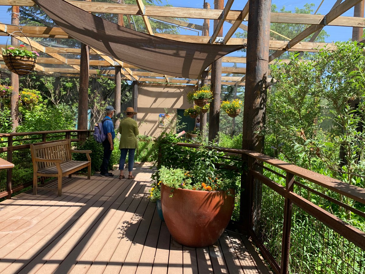cabqculture's tweet photo. Honeybees👏Butterflies👏Jellyfish! The @abqbiopark Aquarium &amp; Bugarium reopened to the public last week. The Butterflies &amp; Bees exhibit has returned and be sure to check out a brand new colony of honeybees at the BUGarium. 
Purchase tickets here https://t.co/fMVkqdApsa https://t.co/MgvV67b3qJ