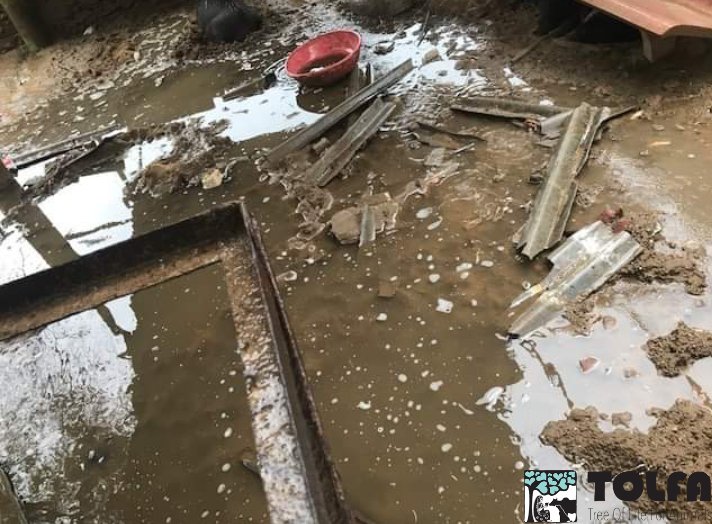 TOLFAcharity's tweet photo. #TeamTOLFA are used to a challenge but this is next level!!!
We have no electricity, running water only very few staff & the septic tanks are overflowing.
Help!
#Pandemic #CovidIndia #Lockdown #CycloneTauktae
To donate in India:
https://t.co/yR1MHsj985
Thank you ππΎ #TOLFA https://t.co/u4rJYUhZUE