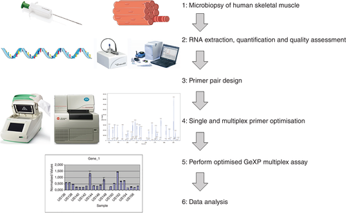 Brian Carson (@drbpcarson) on Twitter photo Always nice to see your publication online. Here we looked to establish a multiplex gene expression assay for 25 mitochondrial genes regulated by exercise/nutrition in human skeletal muscle. Hope to have follow up papers applying it out later in the year physoc.onlinelibrary.wiley.com/doi/pdf/10.111… Always nice to see your publication online. Here we looked to establish a multiplex gene expression assay for 25 mitochondrial genes regulated by exercise/nutrition in human skeletal muscle. Hope to have follow up papers applying it out later in the year physoc.onlinelibrary.wiley.com/doi/pdf/10.111…