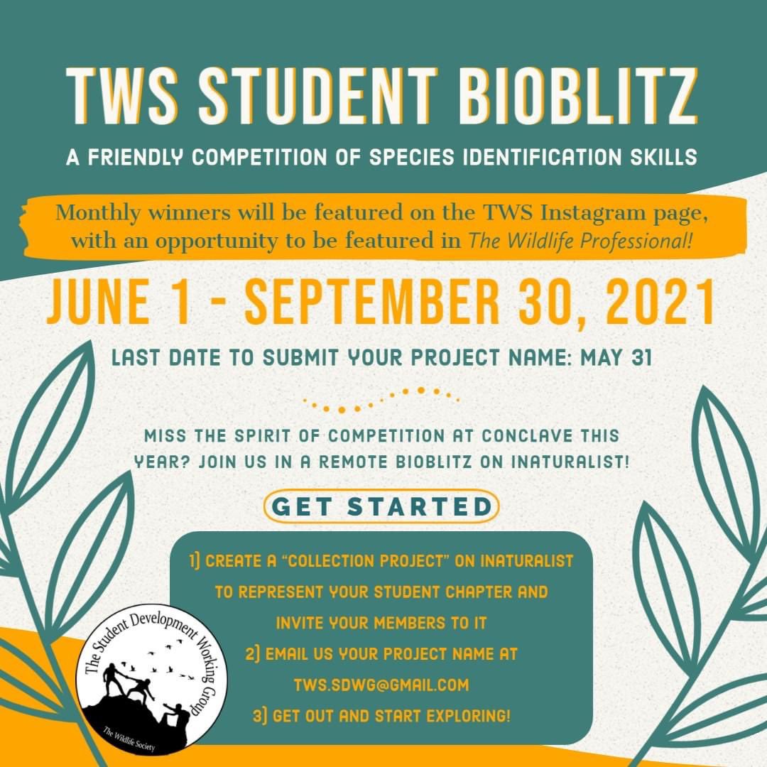 Hey TWS students and student chapters! It's time to gear up for the 2021 summer BioBlitz!
