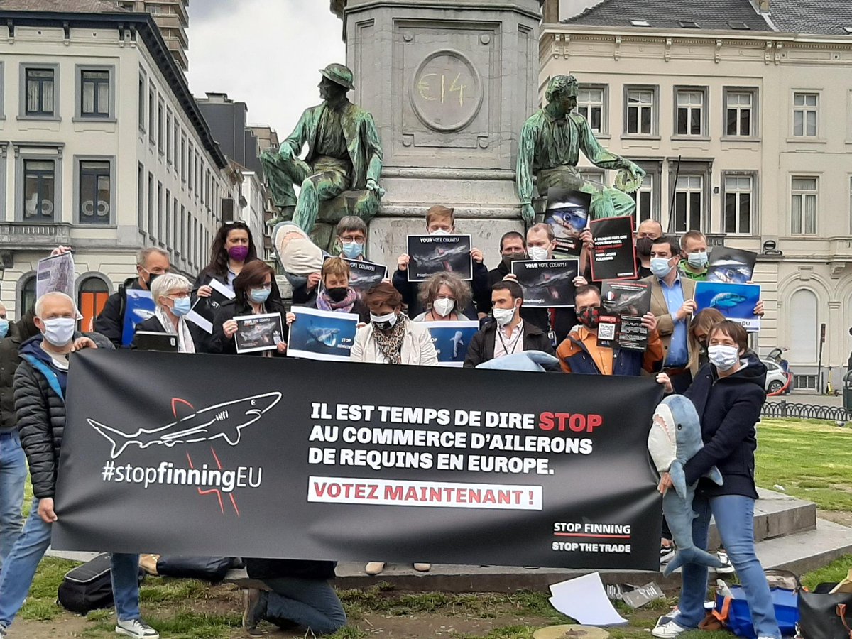 Stop finning, 🇪🇺!
Ich unterstütze die Europäische Bürger*inneninitiative gegen den Handel mit Haiflossen.
Unterschreibt hier:

eci.ec.europa.eu/012/public/#/s…

#stopfinningEU