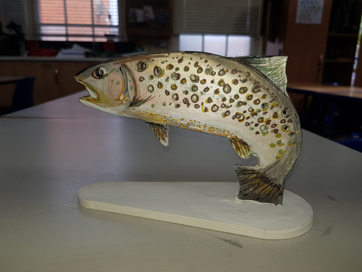 BWS Fishing tweet media