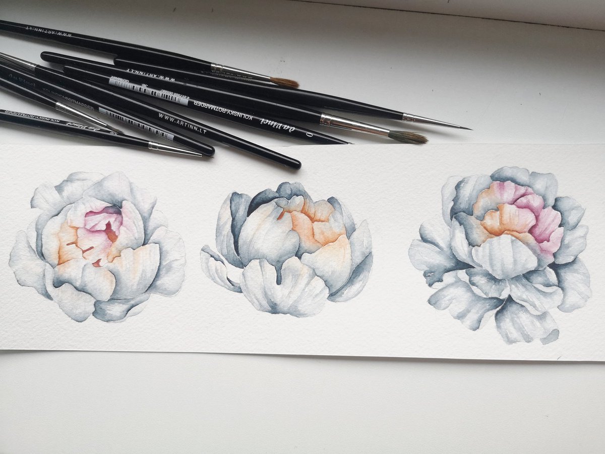 Hello this is my forst tweet
 #botanicalart #flowers #art #botanical #watercolor #illustration #botanicalillustration #floralart #nature #artist #painting #plants #tropical #artistsoninstagram #flower #botanicaldrawing #flowerart #artwork #photography