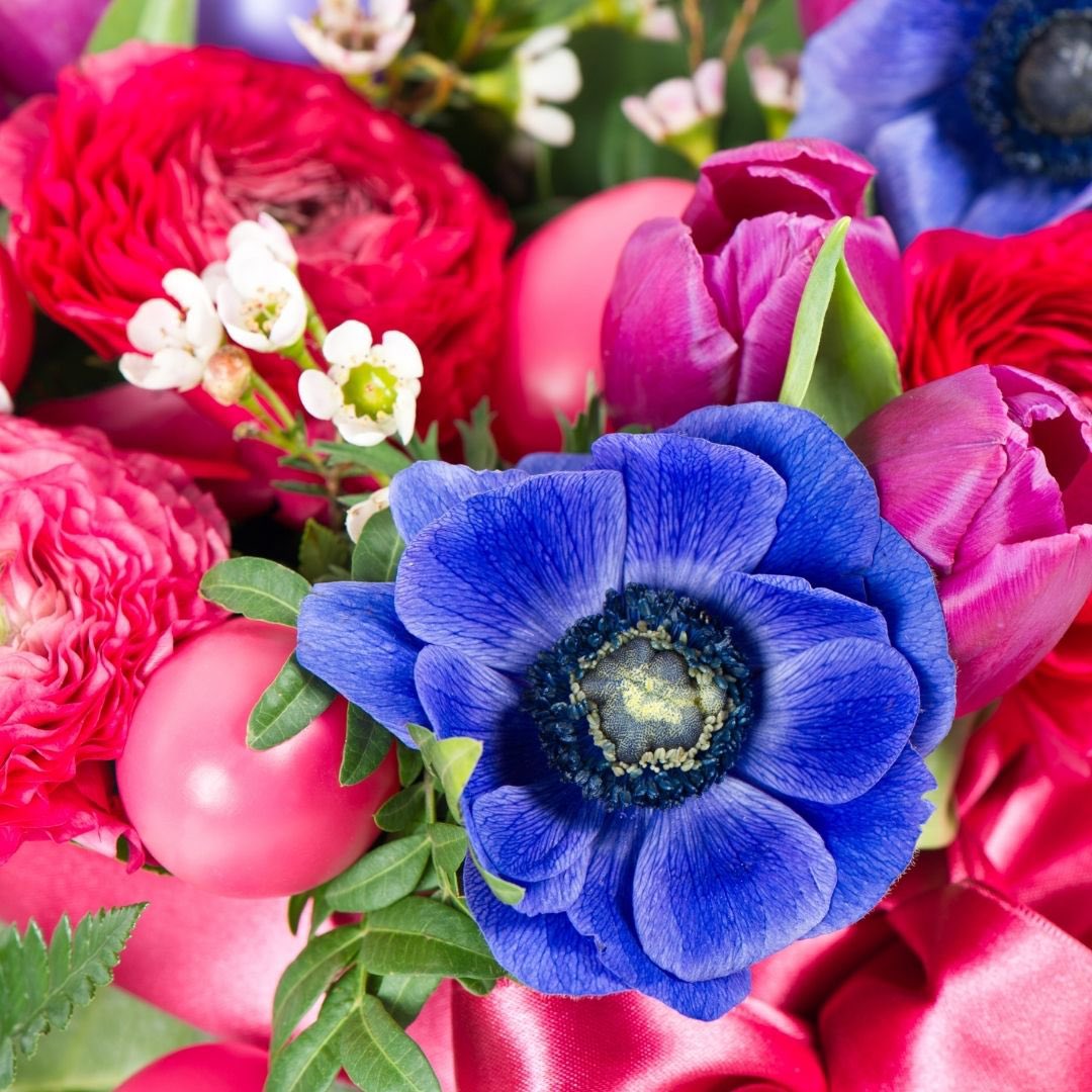 Just because it’s spring... Beautiful colours brings out happiness.