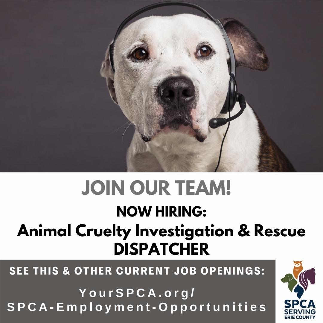 Erie County SPCA, NY on Twitter: Erie County SPCA, NY on Twitter: