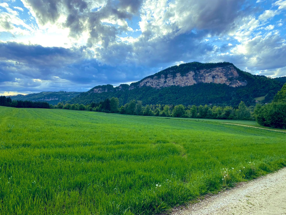 JulesMangoFilm's tweet photo. #PostWorkWalk
It was supposed to rain like crazy but it didn’t 😊 #NatureAmazesMeEveryDay https://t.co/TsIrwf9g5x