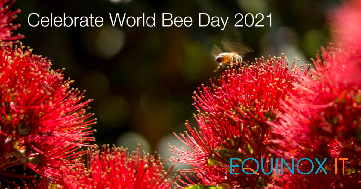 Celebrate this year's World Bee Day by reading up on how technology is playing its part in helping save the bees! hubs.ly/H0Mv0PR0 
#worldbeeday #technology #sustainability