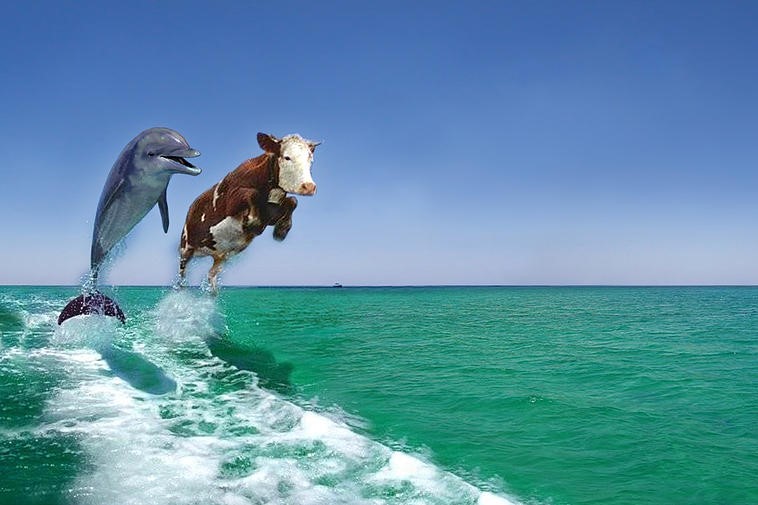 ShellSounds's tweet image. We are not enemies but friends