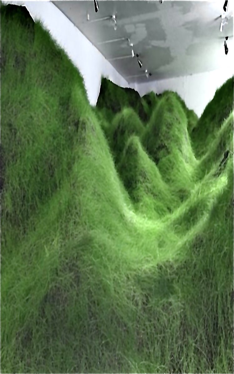 shae delea (@shaedelea) on Twitter photo 