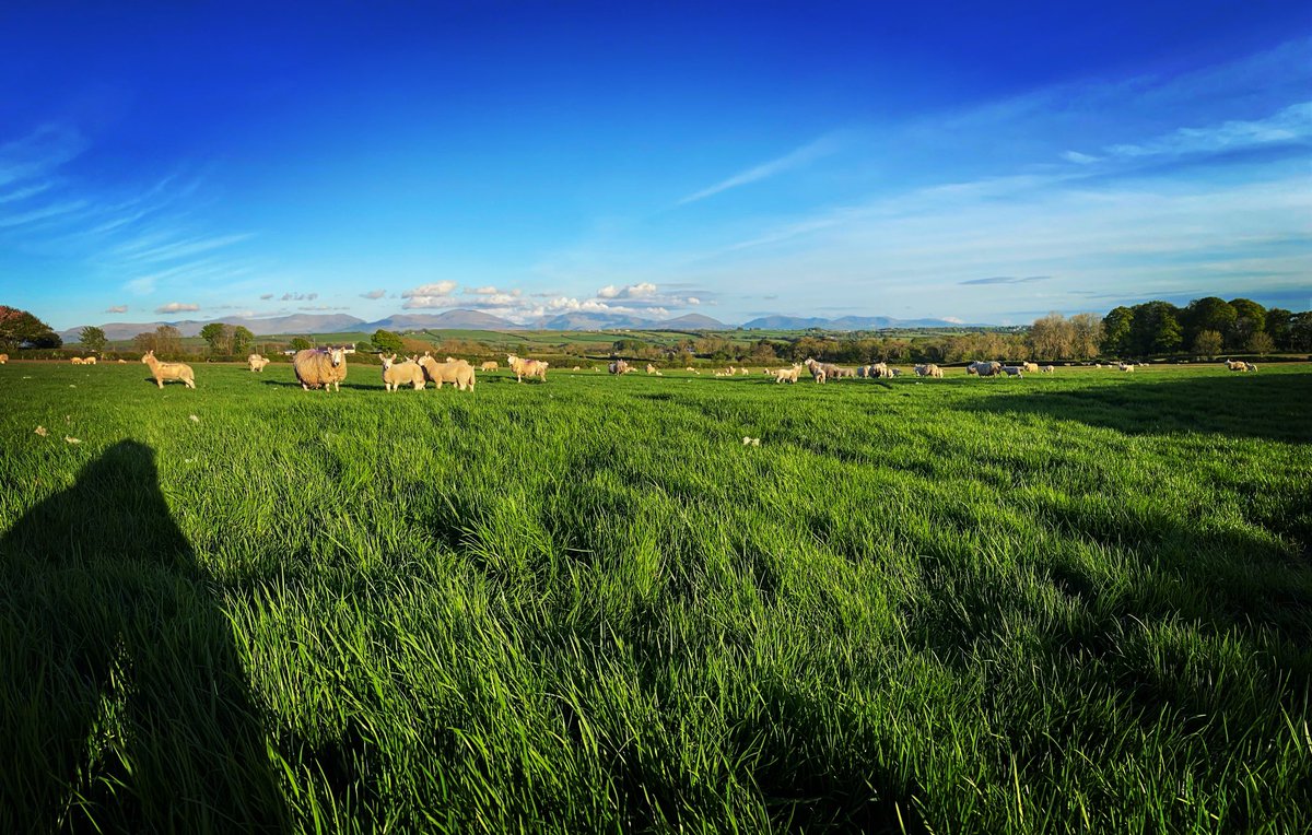 Katy Davies tweet media